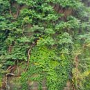 상몽농장2 이미지