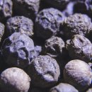 안녕, 후추 이미지