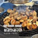삼겹살과막창 | 대구 태전동 맛집 철길자갈구이 자갈에 구워먹는 삼겹살과 막창