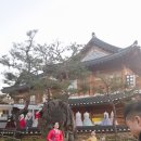 주전부리 집합소