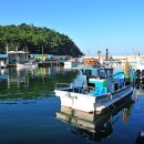 문암1리항 이미지