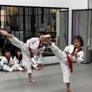 진스태권도장 이미지