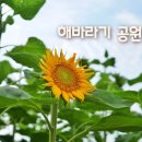 진주이반성우체국 이미지