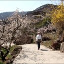 상유 마을회관 이미지