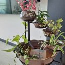 오진아 농촌치유농장 이미지