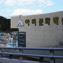 아미 문화학습관 이미지