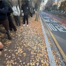 당신을 위한 베이커리 | [고촌] 당신을 위한 베이커리 주말 오픈런