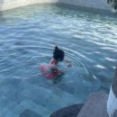 발리모텔 | 발리 짱구 클럽 모텔 멕시콜라 아이와 함께 간 후기