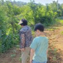 외성농장 이미지