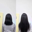 [양산 덕계 서창 붙임머리] 거지존탈출 [천연인모,천연달비모]만 사용하는 완벽후기까지