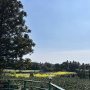 제주 서쪽 안덕면 에어비앤비 감성숙소 추천 네이처무드하우스 내돈내산 (루나폴/산방산/용머리해안 근처)