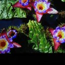 우포농촌체험휴양마을 이미지