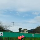창원시립테니스장 코트장 | 2024년 경남 창원 마산 덕동시립테니스장 위드오픈배 여자 테린이 복식 대회 후기