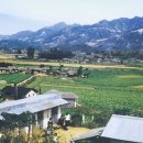 은평로데오 이미지