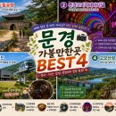 에코푸른잔디