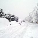 샤갈의 마을 이미지