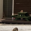 물돌이야기 펜션 | 오후에도 평화로운 강화도 가족여행 (석모도) - 오후