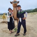 CU 인천병방다올점 | 오지산행후기(880차) 대청도(4박5일) 2021.06.11(금)~