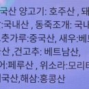 신용반점 이미지