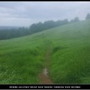 제주삼읍도총지도 이미지