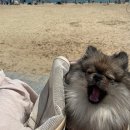 행복플러스동물병원 이미지