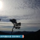협동조합틔움 이미지