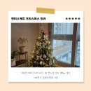 180 | 윈터스케치 크리스마스 PE 전나무 트리 180cm 후기 지네전구 실버오너먼트 세트