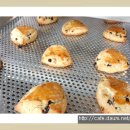 홈베이킹(오전) 이미지