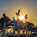 홀론공원 | 안동 탈춤공원 홀론공원 일몰 사진 촬영 후기