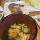 스시참치 이미지