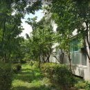 동아사랑공인중개사사무소 이미지