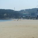 대왕암 아구찜 이미지