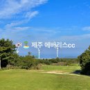 제주도 골프장 제주 에버리스 cc ⛳️ 골프 머리 올리기!
