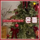윤뜰 - 나주시 재신길 24 | 나주 크리스마스 분위기 브런치 카페, 윤뜰 솔직 후기