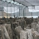 거창-신원-3 이미지