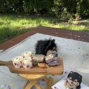 오마이샷츠 이미지