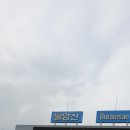 2019 서울 오토쌀롱 위크