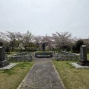 친환경부여농장 | 14개월 아기랑 전남 봄꽃 축제 🌸 2026 영암 왕인문화축제 유모차 나들이