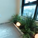 감성골프아카데미 이미지