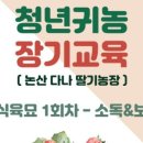 다나딸기농장2