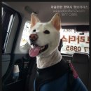 로또구영편의점 네이버블로그
