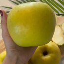 쭈니푸드 이미지