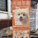 문래디저트, 카페주황 후기