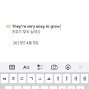 자라다plant 이미지