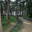 생명과 공존의 숲( 이미지