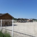 선원면-6 이미지