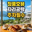 청풍호로 | 제천 카페 너른 가기 전 필독: 청풍호 뷰 베이커리 제대로 즐기는 자리·주차·동선 팁