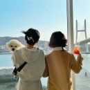 낭만도넛 이미지