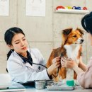 루리동물병원 이미지