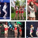 참한 결혼정보 이미지